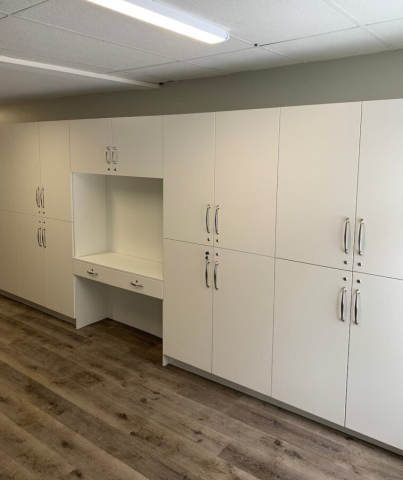 Melamine Cabinet Built-ins